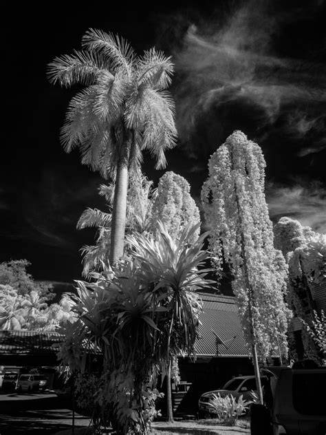 Jack Drafahl Infrared Gallery - Infrared Conversions, IR … - raincitystudios.com