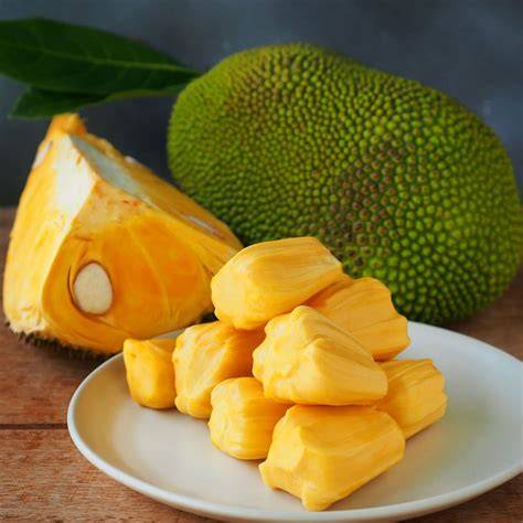 Jackfruit | Description & Uses | Britannica - raincitystudios.com