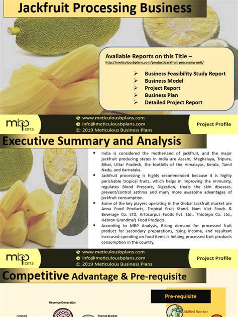 Jackfruit Meat Gourmet Business Feasibility - raincitystudios.com