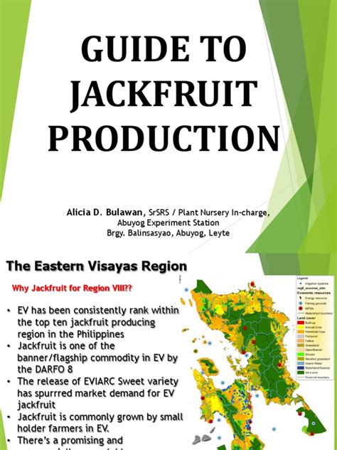 Jackfruit Production Guide for Philippines - raincitystudios.com