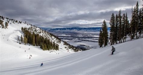 Jackson Hole & Grand Teton Park - Half-Day Wildlife Tour - Morning - muktibox.com