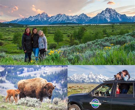 Jackson Hole Eco Tour Wildlife Adventures & Safari … - muktibox.com