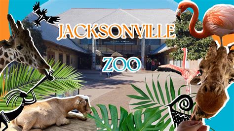 Jacksonville Zoo & Gardens News 2026 [Jacksonville Zoo and Gardens] - coolestguyplanet.net
