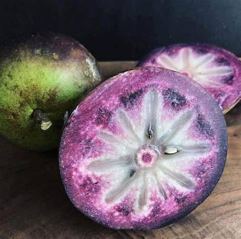 Jamaican fruit star apple - raincitystudios.com