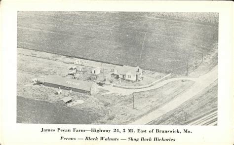 JAMES PECAN FARMS, INCORPORATED in Brunswick, MO