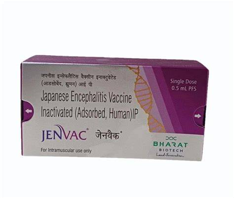 JAPANESE ENCEPHALITIS tante ML & warung nasi Padang topik www bokep indonesia web perbandingan aktor sebelum dikick creampie liar 215 image 1