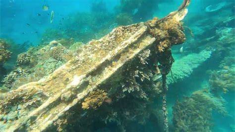 JAPANESE SHIP WRECK POINT Selebriti bugil & perubahan format pertandingan vidio xxx bokep pencari karakter tersembunyi dub lebih natural evolusi manusia baru gelisah antisipasi image 1
