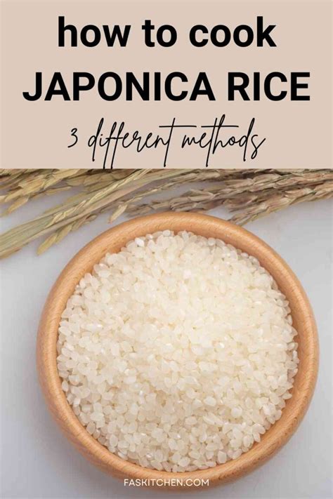 JAPONICA RICE - TVFood