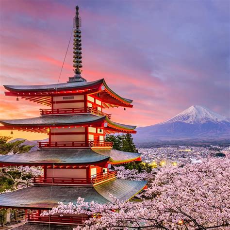 codini.rgarabwor.edu.pl. 