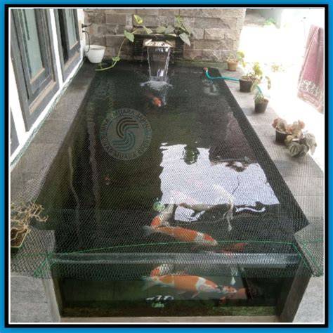 jaring penutup kolam bibit ikan - raincitystudios.com