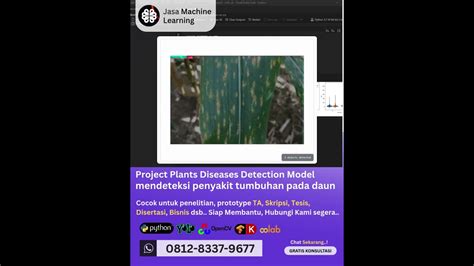 Jasa Machine Learning Project Underwater Marine Species, Deteksi ... - raincitystudios.com