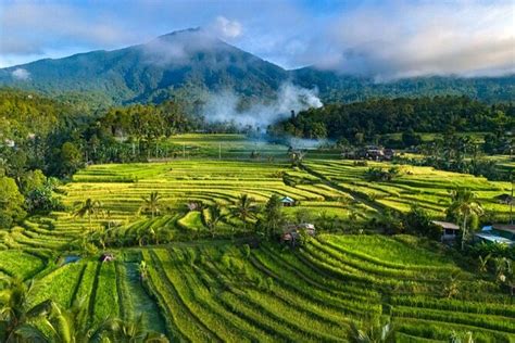 Jatiluwih Bali - Harga Tiket Masuk Lokasi Sawah Terasering Bali - wintechmobiles.com