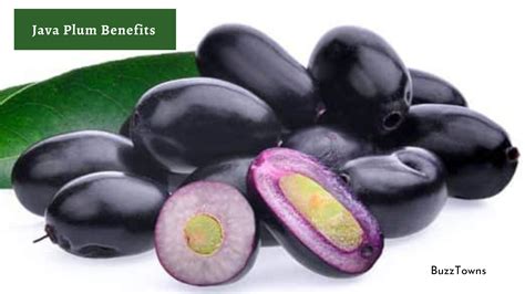 Java Plum - an overview | ScienceDirect Topics - raincitystudios.com
