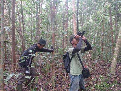 Javan Wildlife Institute (JAWI) | Wildlife Conservation Indonesia - raincitystudios.com