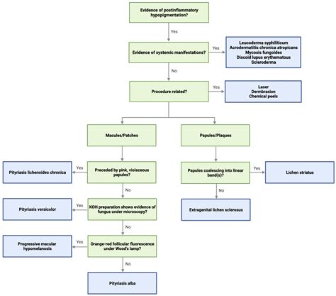 JCM Free FullText PostInflammatory Hypopigmentation Review of