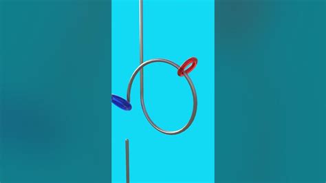 Jelly Ring Drop Simulation #3d #blender #satisfying - muktibox.com