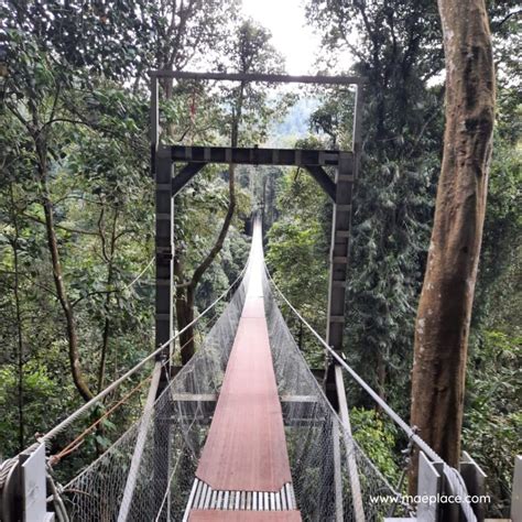 Jembatan Bridge - wintechmobiles.com