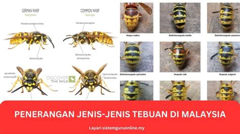 Jenis - Jenis Machine Learning yang Harus Kamu … - coolestguyplanet.net