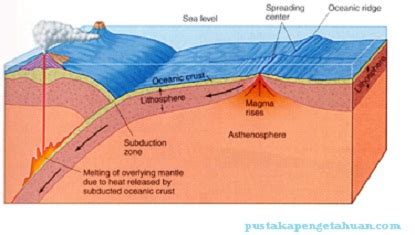 Jenis Laut Berdasarkan Proses Terjadinya - muktibox.com