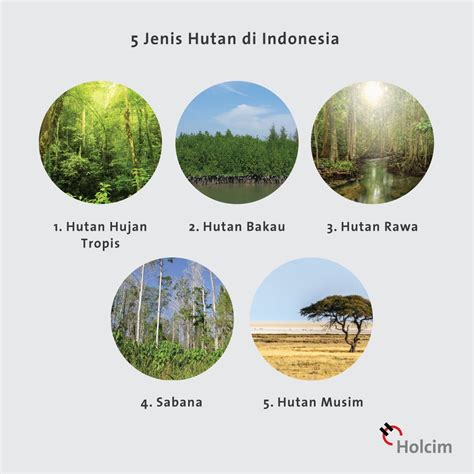 Jenis-jenis Ekosistem Hutan - Bintangpusnas Edu - muktibox.com