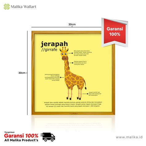 Jerapah - Wikipedia bahasa Indonesia, ensiklopedia … - muktibox.com