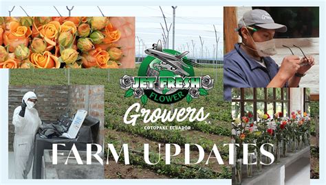 JF_FarmUpdate2021_BlogCover Jet Fresh Flower Distributors