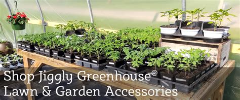 Jiggly Greenhouse Wholesale Greenhouses & Garden … - raincitystudios.com