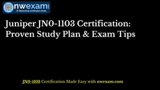 JN0-1103 Testing Engine