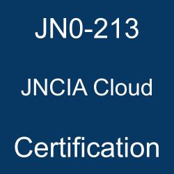 JN0-213 Zertifikatsdemo