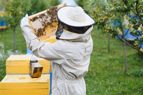Join my Masterclass modern Beekeeping training and learn how to produce ... - muktibox.com