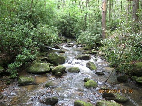 JONES GAP STATE PARK (Marietta) - 2024 What to Know