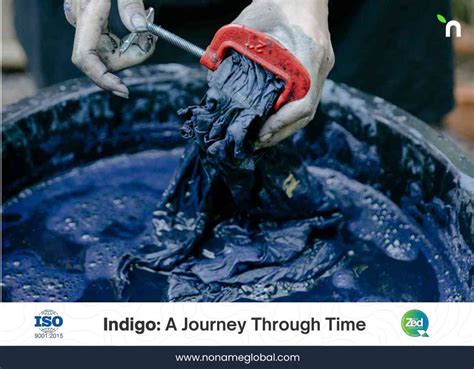 Journey of Indigo Through Time - wintechmobiles.com