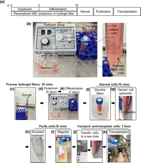 JP7228675B2 - Closed bioprocessing device - Google Patents