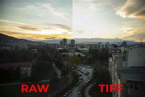 JPEG vs TIFF vs RAW