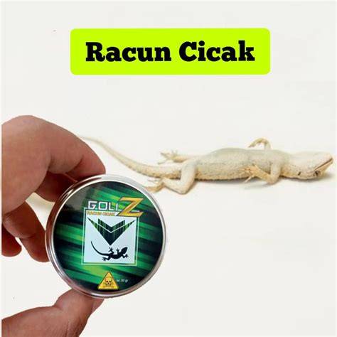 Jual Alat Pengusir Cicak Murah - Harga Terbaru Maret 2026 - raincitystudios.com