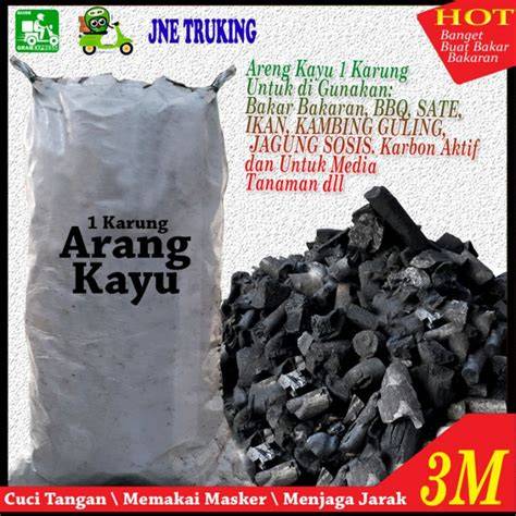 Jual Arang Dinamo Terlengkap - Harga Terbaru Maret 2026 - raincitystudios.com