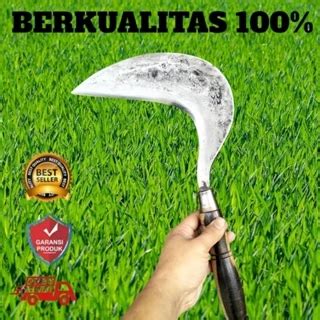 Jual Arit Rumput Terbaik - Harga Murah Maret 2026 - raincitystudios.com