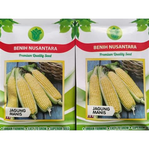 Jual Benih & Bibit dari Supplier Terlengkap - Indonetwork - raincitystudios.com