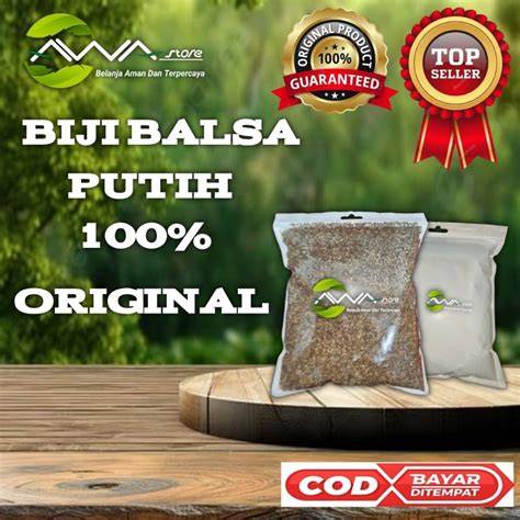 Jual biji balsa || Agro Mangrove - raincitystudios.com