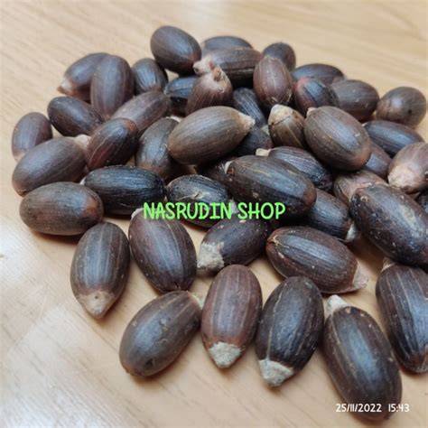 Jual Biji Melinjo Terdekat - Harga Murah & Grosir Maret 2026 - raincitystudios.com