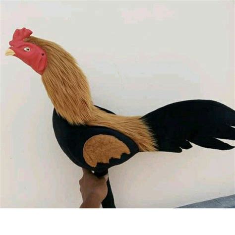 Jual Boneka Ayam Aduan Terlengkap & Terbaik - muktibox.com
