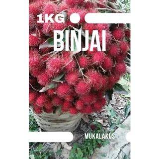 Jual Buah Binjai Terlengkap & Harga Terbaru Maret 2026 - Shopee … - raincitystudios.com