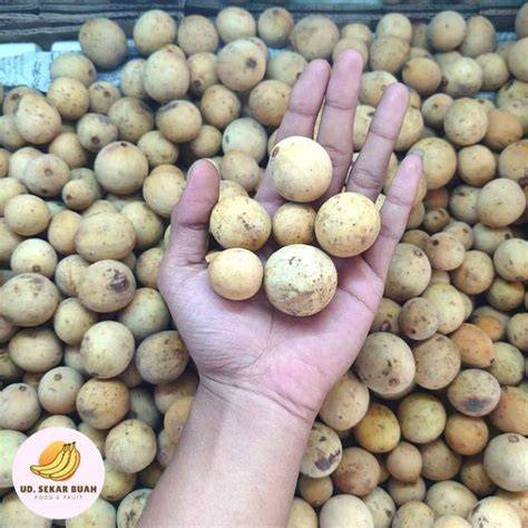 Jual Buah Duku Terlengkap & Harga Terbaru Maret 2026 | Shopee … - raincitystudios.com