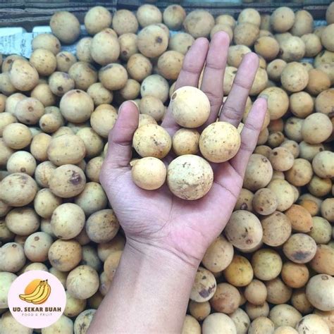 Jual Buah Duku Termurah - Harga Grosir Terupdate Hari Ini - raincitystudios.com