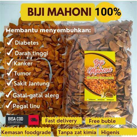 Jual Buah Mahoni Terlengkap & Harga Terbaru Maret … - raincitystudios.com