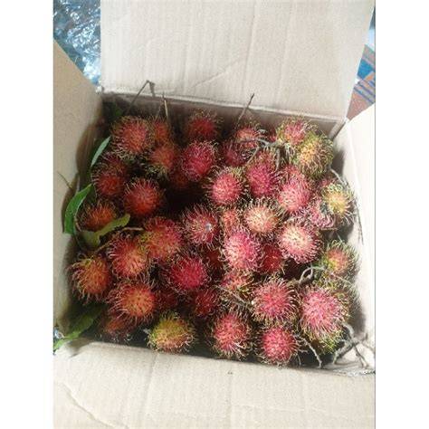 Jual Buah Rambutan Terdekat - Harga Murah & Grosir Maret 2026 - raincitystudios.com