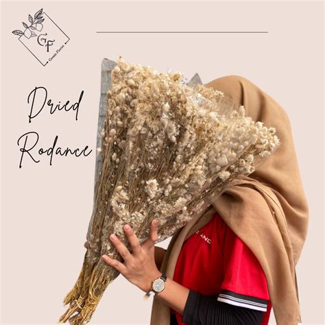 Jual Bunga Kering Terlengkap & Harga Terbaru Maret 2026 - Shopee … - muktibox.com