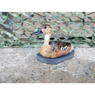 Jual Burung Belibis Terlengkap & Harga Terbaru Maret 2026 | Shopee ... - muktibox.com