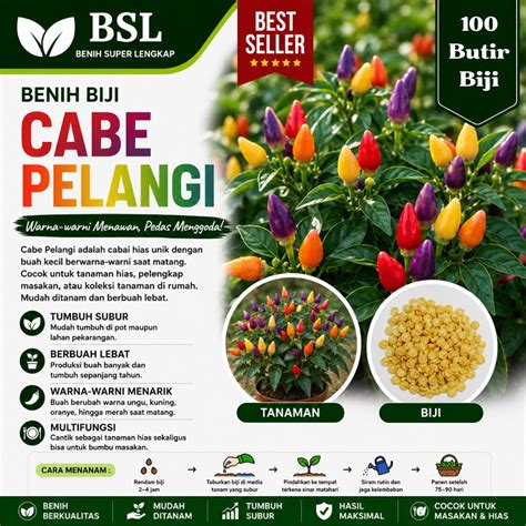 Jual Cabe Pelangi Terlengkap & Harga Terbaru Maret 2026 | Shopee … - raincitystudios.com
