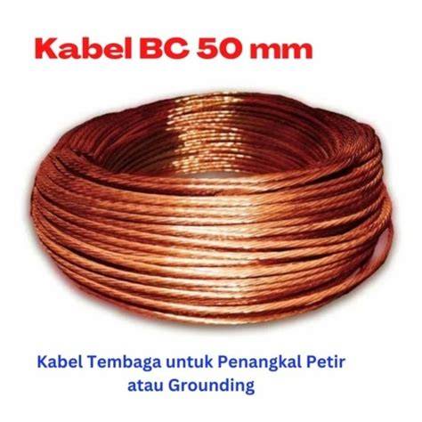 Jual cable bricomart 6 mm Harga Terbaik & Termurah Maret 2026 - raincitystudios.com